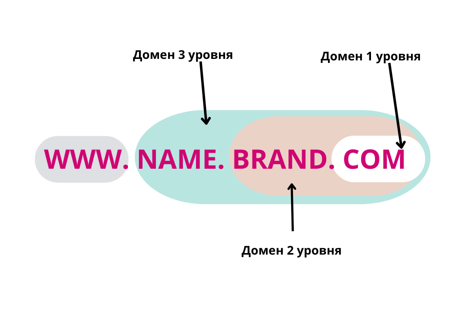 структура домена структура домена
